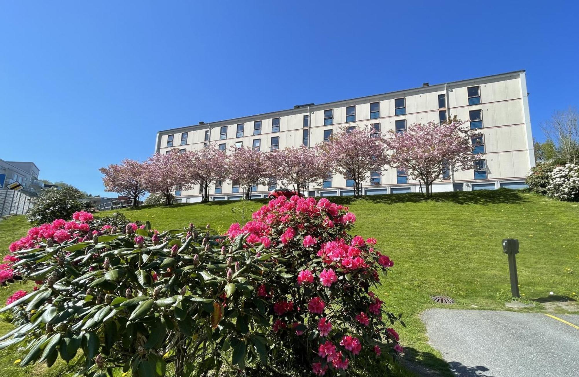 3 Sleeping Rooms For 82M2 Which Direct Traffic To Airport And City Center 베르겐 외부 사진